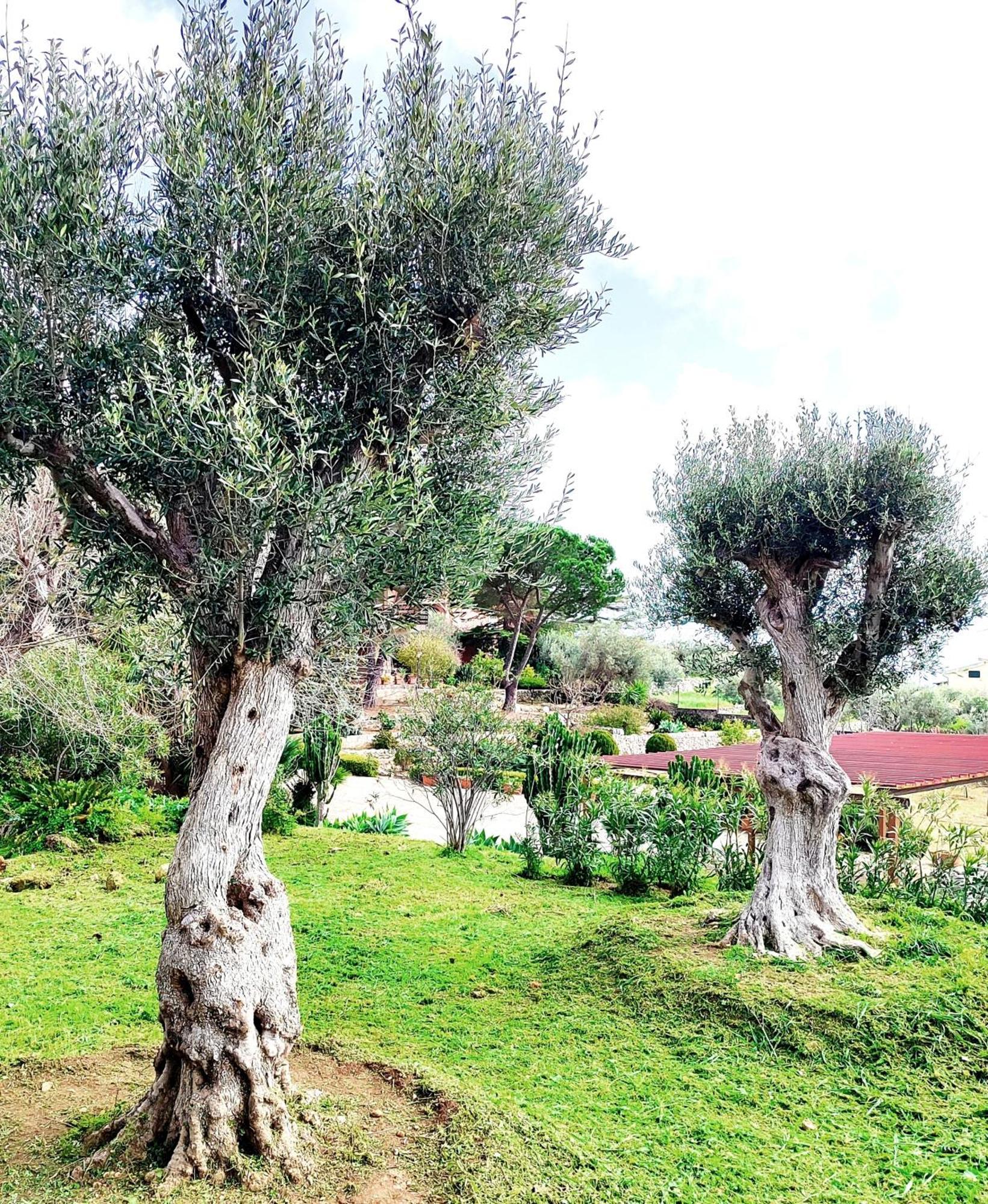 Villa Orizzonte Sullo Jonio Avola Extérieur photo